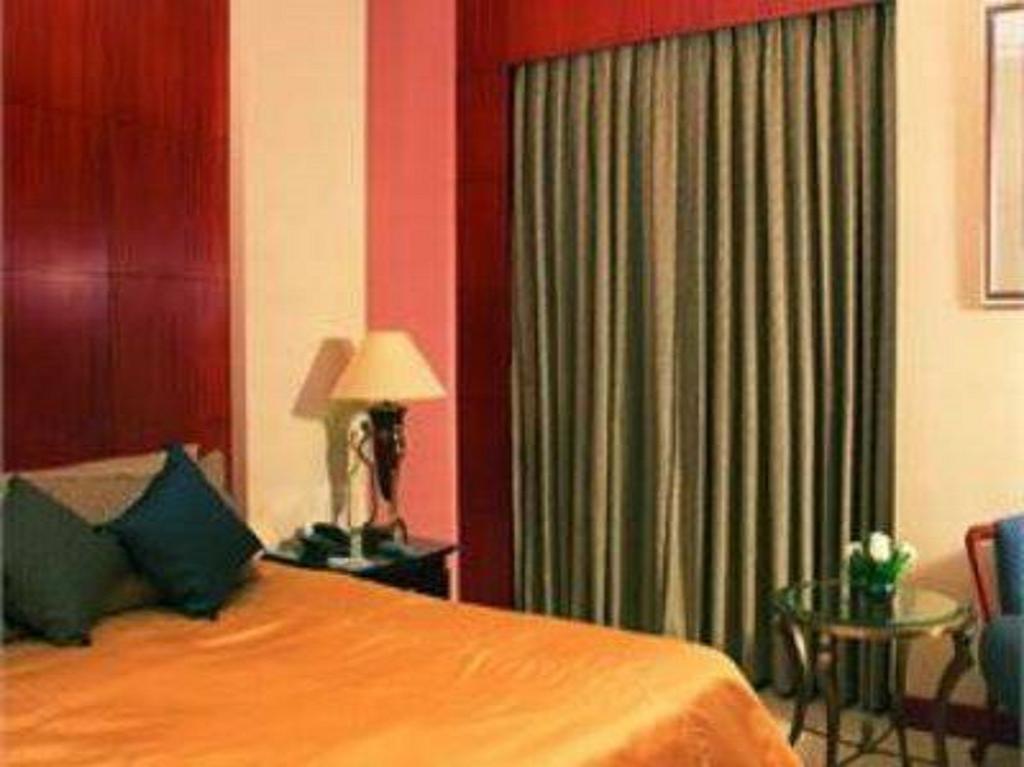 Hotel Hans International Nové Dillí Pokoj fotografie